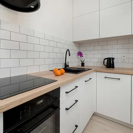 Charming In The Center Of By Renters Apartment Łódź