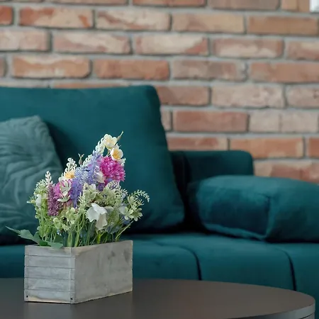 Charming In The Center Of By Renters Łódź