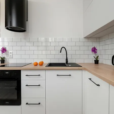 Charming In The Center Of By Renters Lejlighed