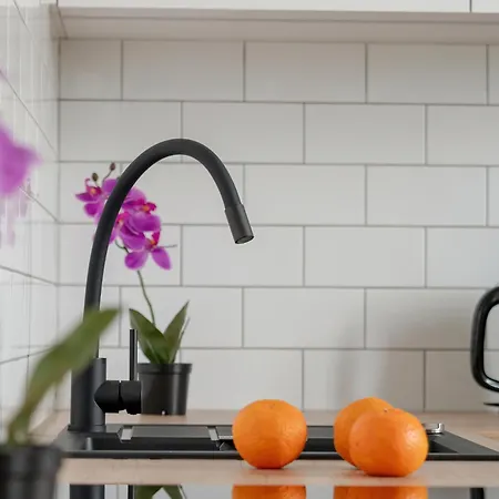 Lejlighed Charming In The Center Of By Renters *