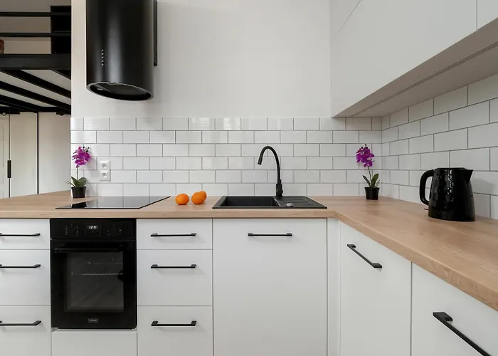 Charming In The Center Of By Renters Lejlighed