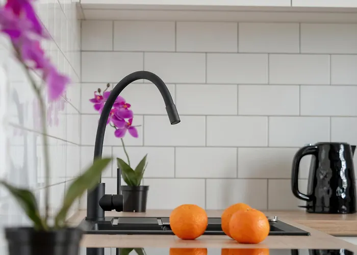 Lejlighed Charming In The Center Of By Renters *